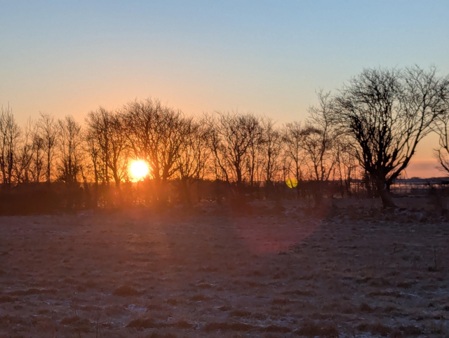 Aufgehende Sonne, fast komplett über dem Horizont stehend und glühend orangerot, davor unbelaubte Bäume, die die kahlen Äste in den orangefarbenen, ins strahlend blaue übergehenden Himmel recken. Vor den Bäumen ist ein mit dickem Rauhreif bedeckter Acker.