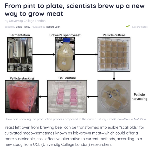 From pint to plate, scientists brew up a new way to grow meat