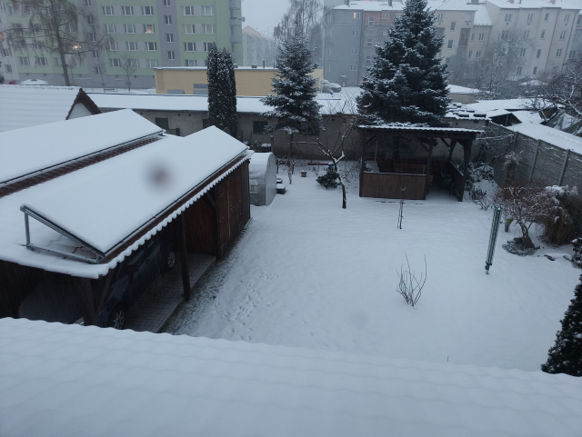 Zasněžená zahrada