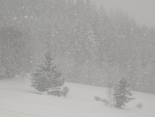 Zasněžená krajina v hustém sněžení.