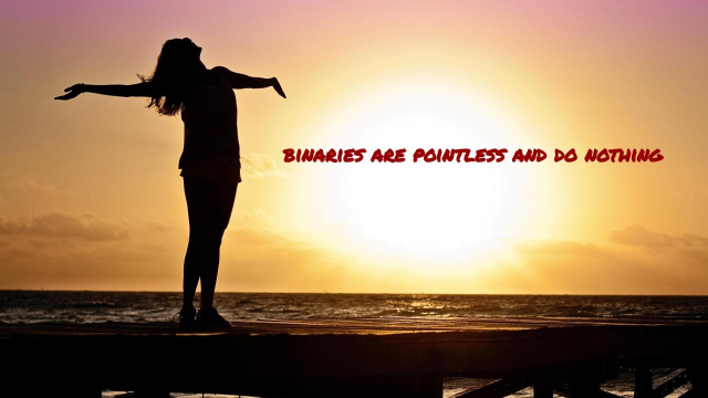 binaries are pointless and do nothing