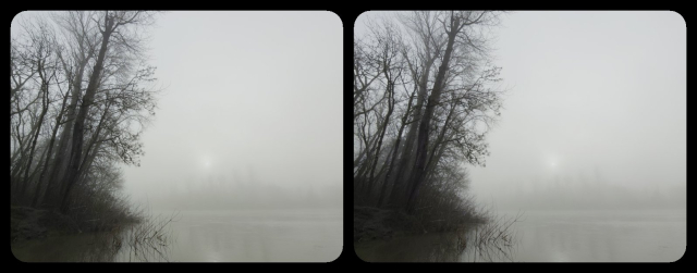 On the left, leafless trees on a riverbank, reflected in the water. On the left, the distant riverbank is barely visible in the fog. The image is fairly monochromatic, and stereoscopic.