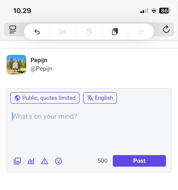 Ios screenshot showing the popup