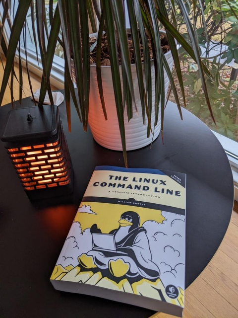 A copy of of my book sitting happily on a table