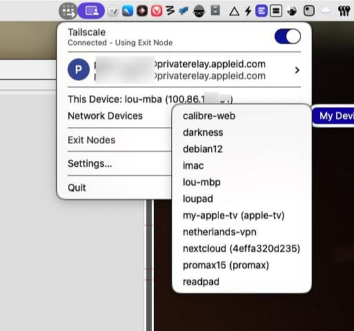 The Tailscale App on my home computer