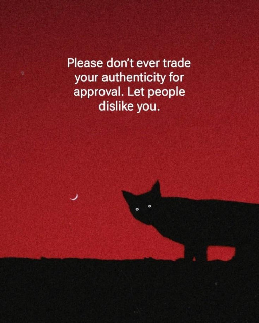 Please don't ever trade your authenticity for approval. Let people dislike you.
