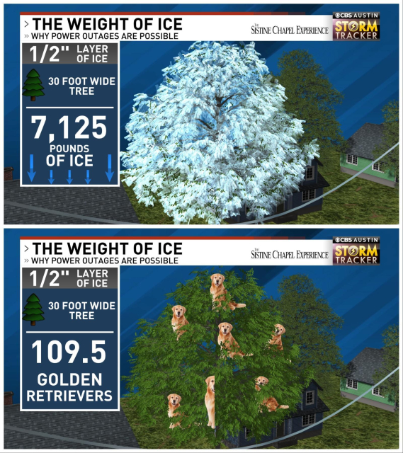 An infographic showing how much ice buildup on a tree can weight.  The parameters are a half-inch layer of ice on a 30-foot-wide tree, which is said to weigh 7,125 pounds of ice, or 109.5 golden retrievers.