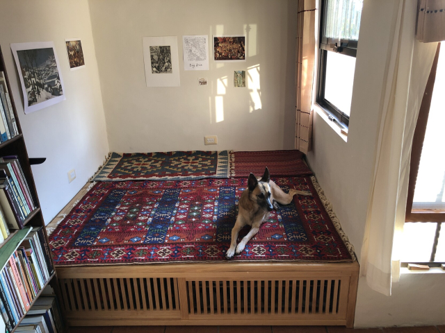 La tarima ya con sus tapetes, y Gaia echadita encima.