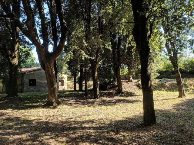 a perfectly normal-seeming grove in the italian countryside on a clear sunny day, a farmhouse amid trees surrounded by vineyards. there is no evidence of anything untoward in the picture.
