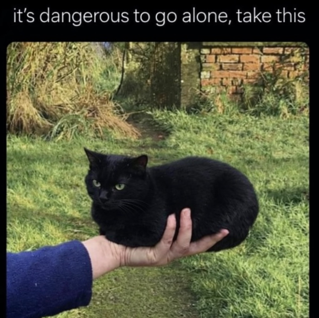 A black cat sitting in a "loaf" position on an outstretched human hand. Text at the top reads: "it's dangerous to go alone, take this."