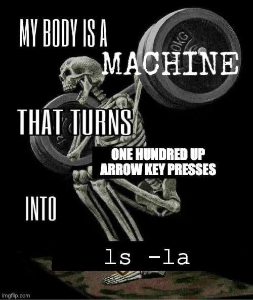 Meme lf skeleton pushing weights. Te text reads: mi body is a machine that turns one hundred arrow up key presses into ls - la
