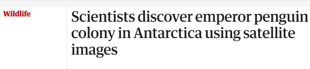 Screenshot of headline saying "Scientists discover emperor penguin colony in Antarctica using satellite images"
