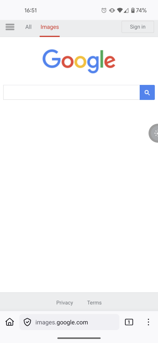 The page “images.google.com” following outdated Google designs, and lacking features such as a voice input and reverse image search 