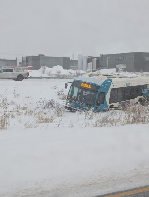 Desole.

The bus really is.