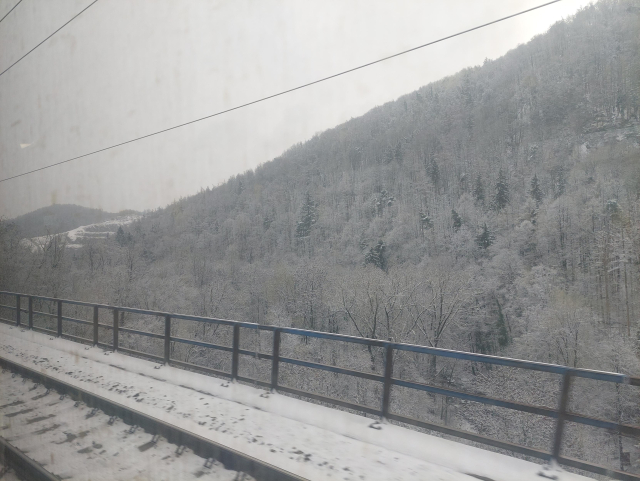 Trees covered by snow seen from a train