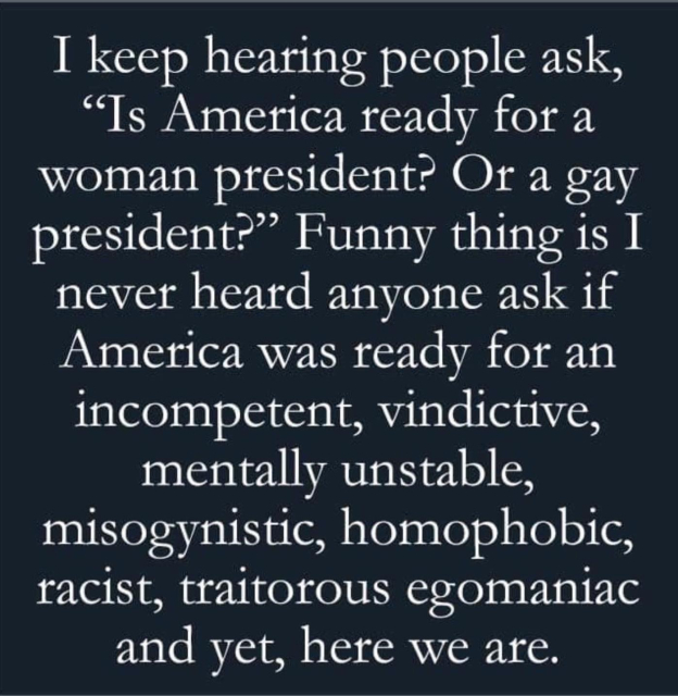 I keep hearing people ask, "Is America ready for a woman president? Or a gay president?"

Funny thing is I never heard anyone ask if America was ready for an incompetent, vindictive, mentally unstable, misogynistic, homophobic, racist, traitotous egomaniac and yet, here we are. 

