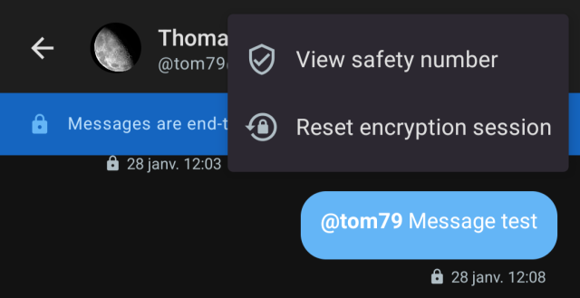 E2EE options menu showing "View safety number" and "Reset encryption session" actions available in encrypted conversations.