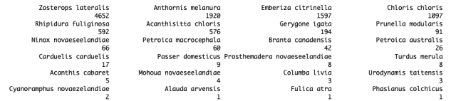 A screenshot of an R output listing bird scientific names and the number of detections made by BirdNet with a certainty >0.9. They're listed in order from most common, with the top eight birds being silvereyes, bellbirds, yellowhammers, greenfinches, fantails, riflemen, grey warblers, and dunnocks.