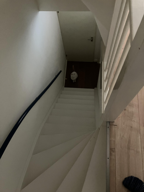 A white wooden staircase, with at the very bottom a small white cat, looking up and yelling.  