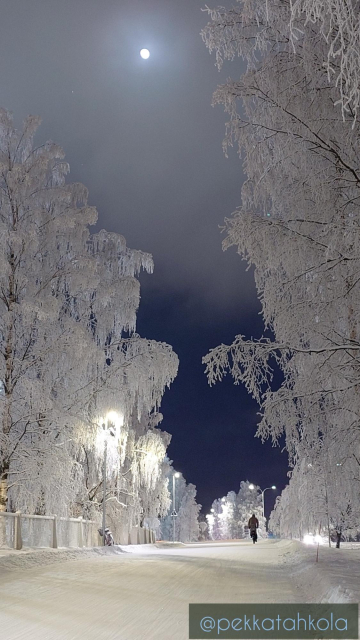 Frosty scenery and trees, moon and mist, a person pedaling on a bike path