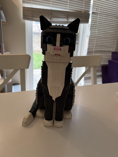 A black and white tuxedo cat made entirely of LEGO sits on a white table with white blinds covering a large window behind. The cat has blue eyes and a pale pink nose and tongue showing. The cat sits upright with its tail coming round and forward along by its paws. 