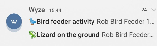 Notifications for a friend's camera