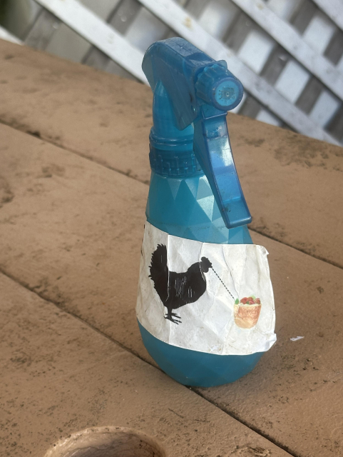 Blue water spray bottle with a stylized chicken looking at a poke bowl