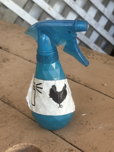Blue water spray bottle with a stylized bottle spraying a chicken with water
