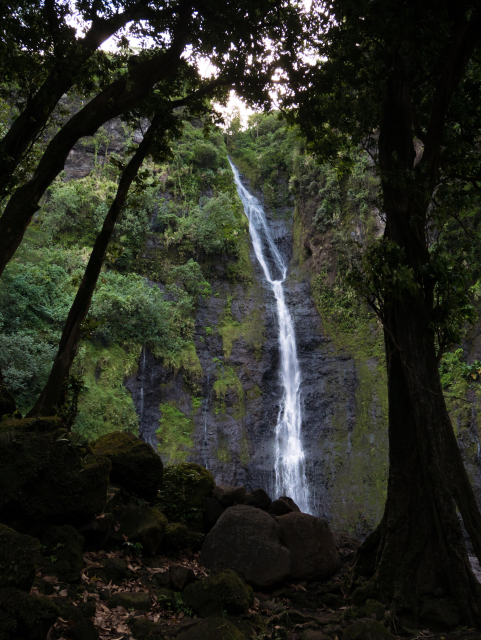 photograph of a waterfall with shadowed trees in the foreground as silhouettes framing it