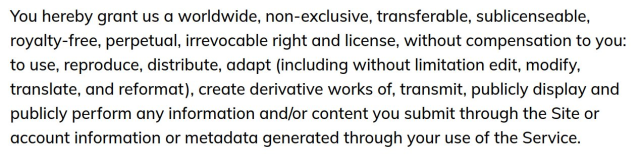 You hereby grant us a worldwide, non-exclusive, transferable, sublicenseable, royalty-free, perpetual, irrevocable right and license, without compensation to you: to use, reproduce, distribute, adapt (including without limitation edit, modify, translate, and reformat), create derivative works of, transmit, publicly display and publicly perform any information and/or content you submit through the Site or account information or metadata generated through your use of the Service.